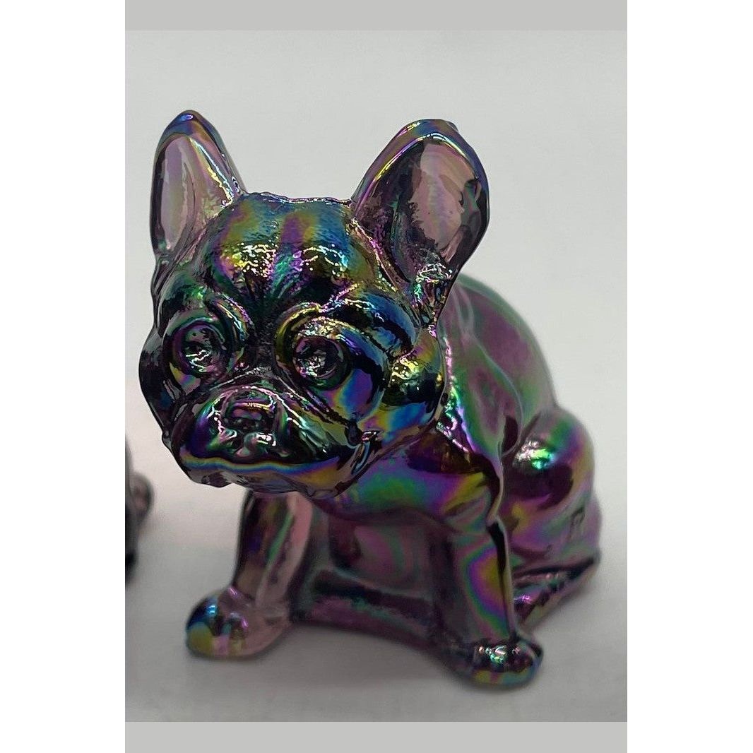 Frenchie Bulldog