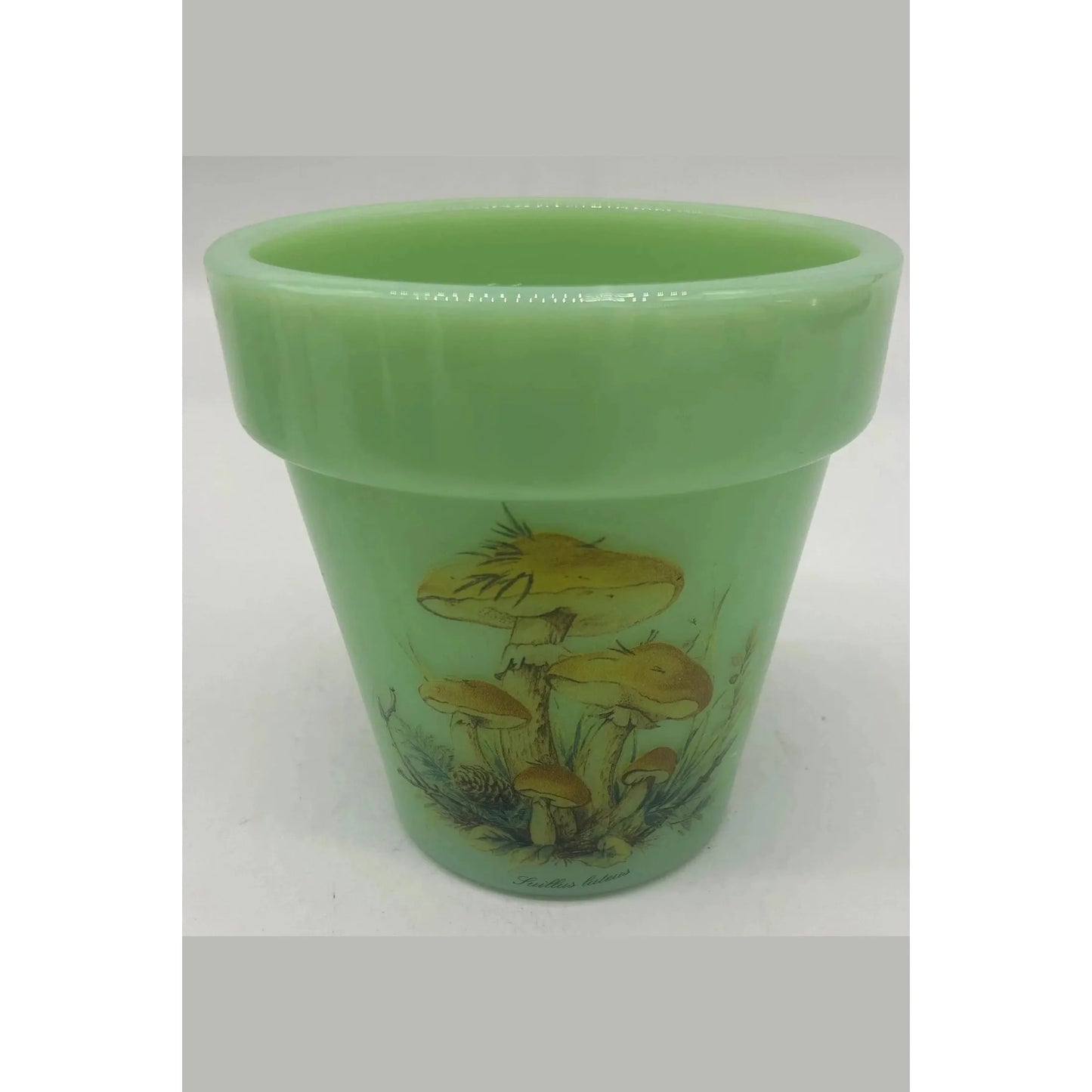 Flower Pot