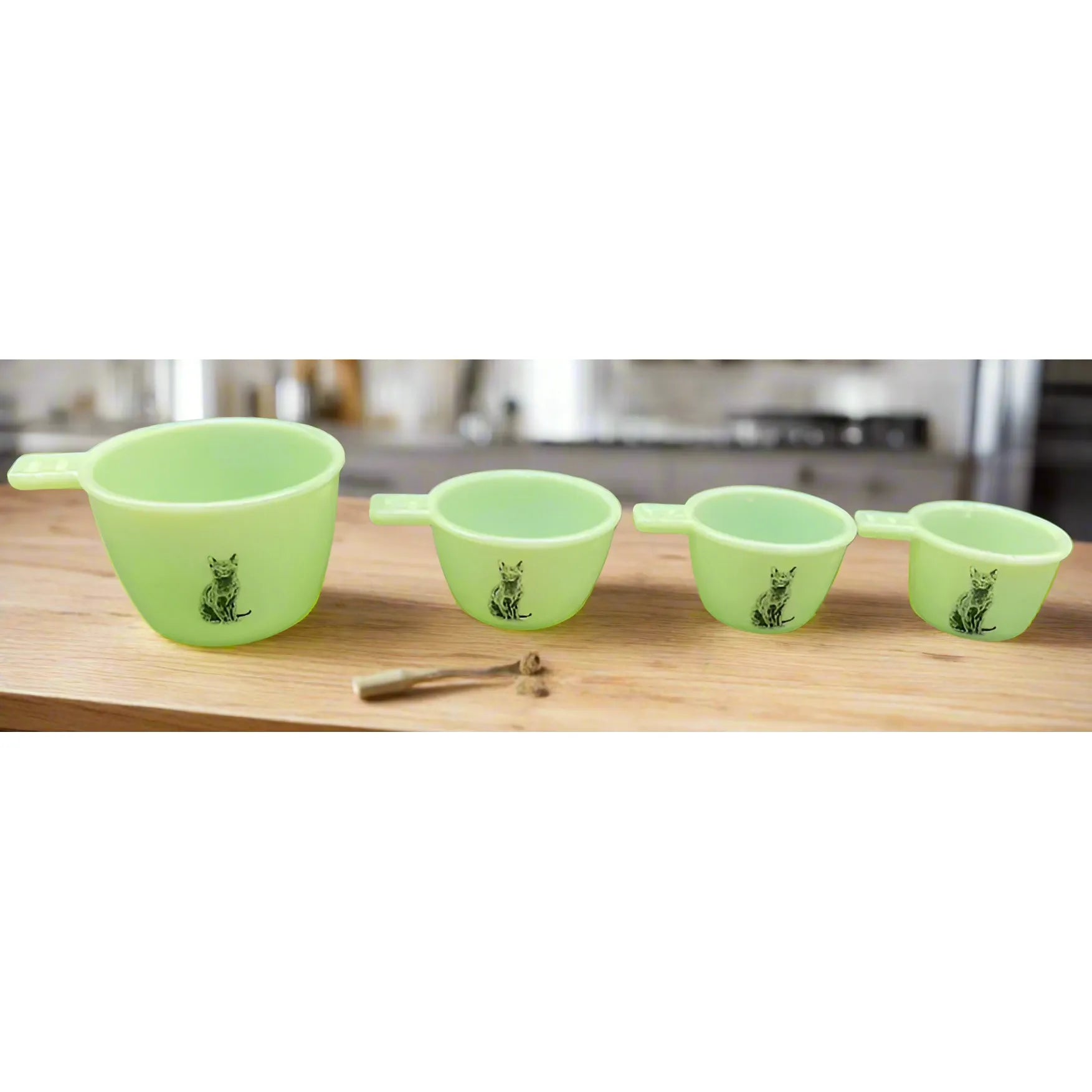 Wizard Of Oz outlets 2 sets Measuring Cups