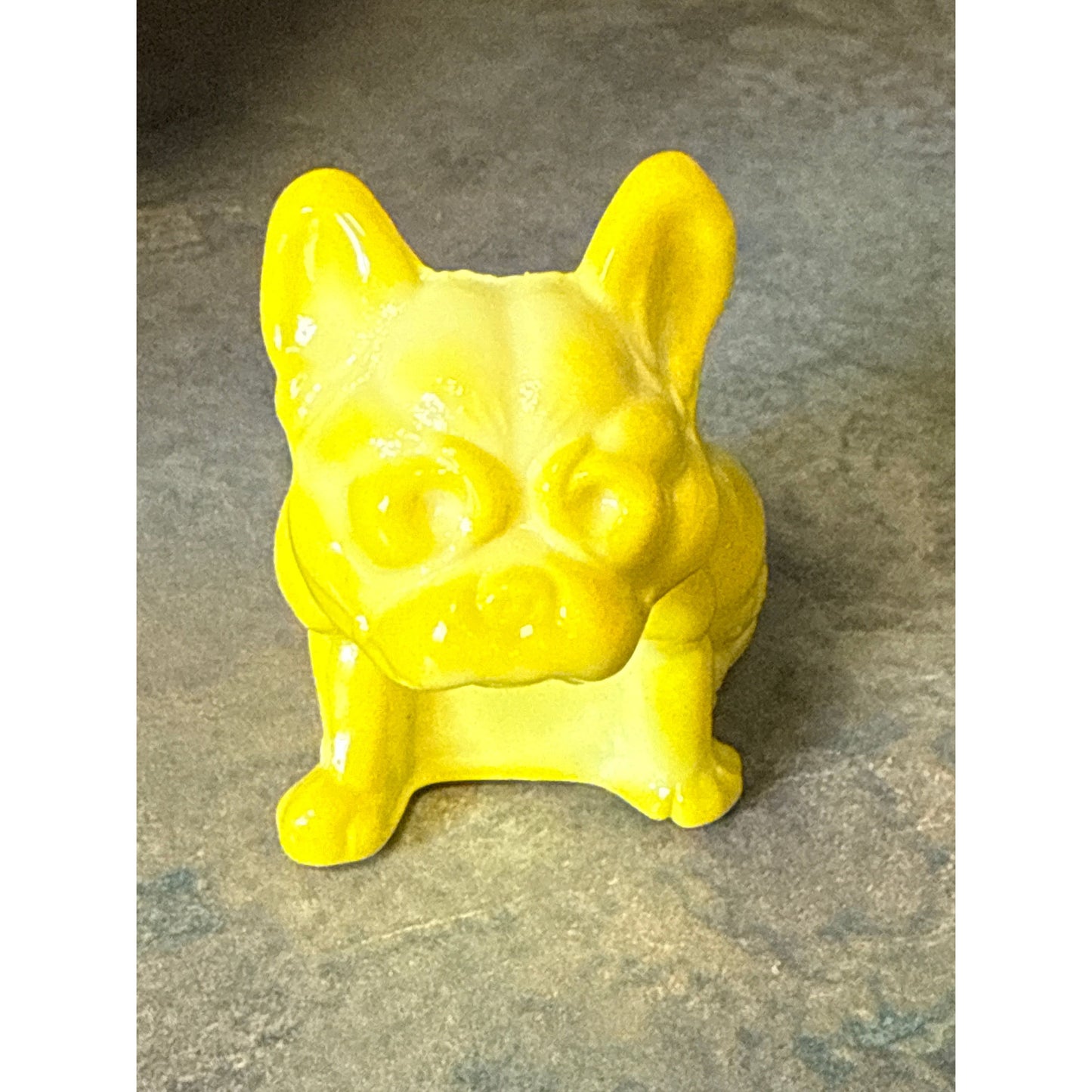 Frenchie Bulldog