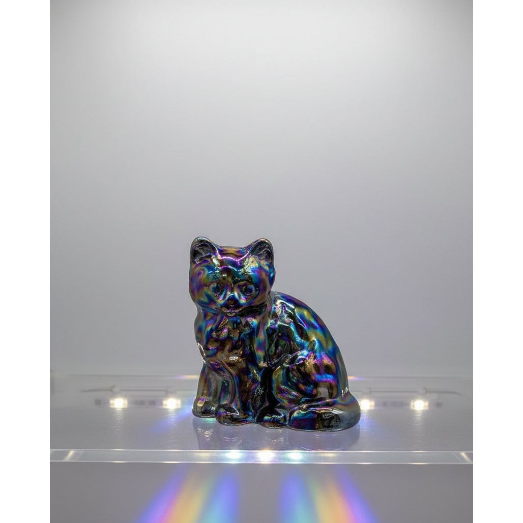 Fluffy Sitting Kitten