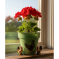 Flower Pot