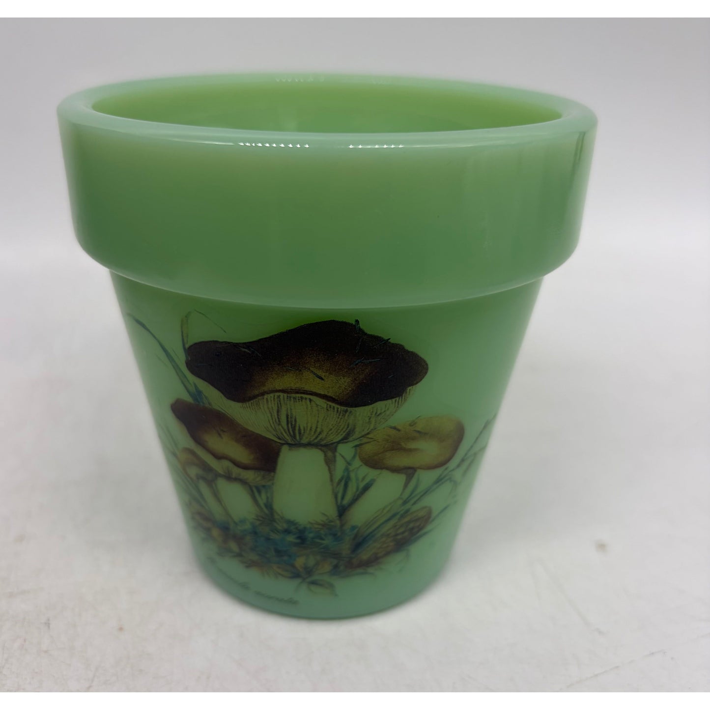 Flower Pot