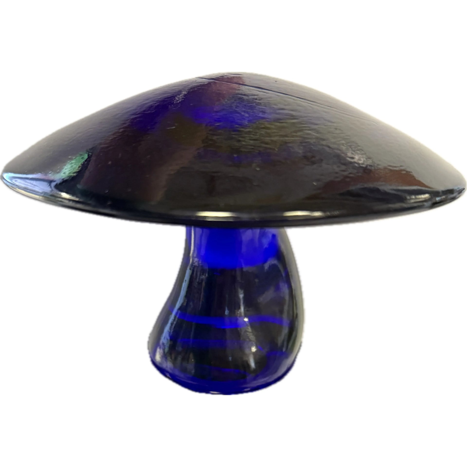 Load video: Cobalt Blue Jumbo Mushroom