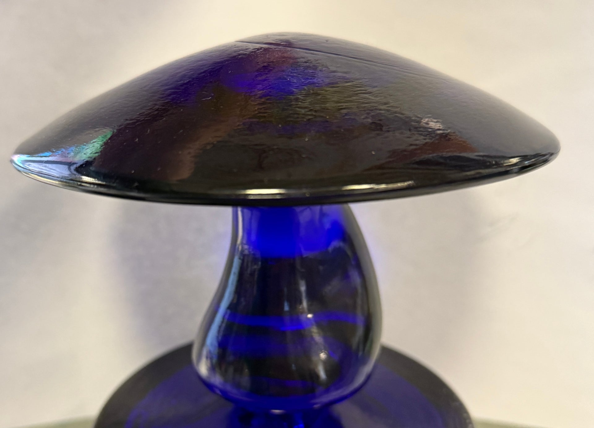 Load video: Cobalt Blue Jumbo Mushroom