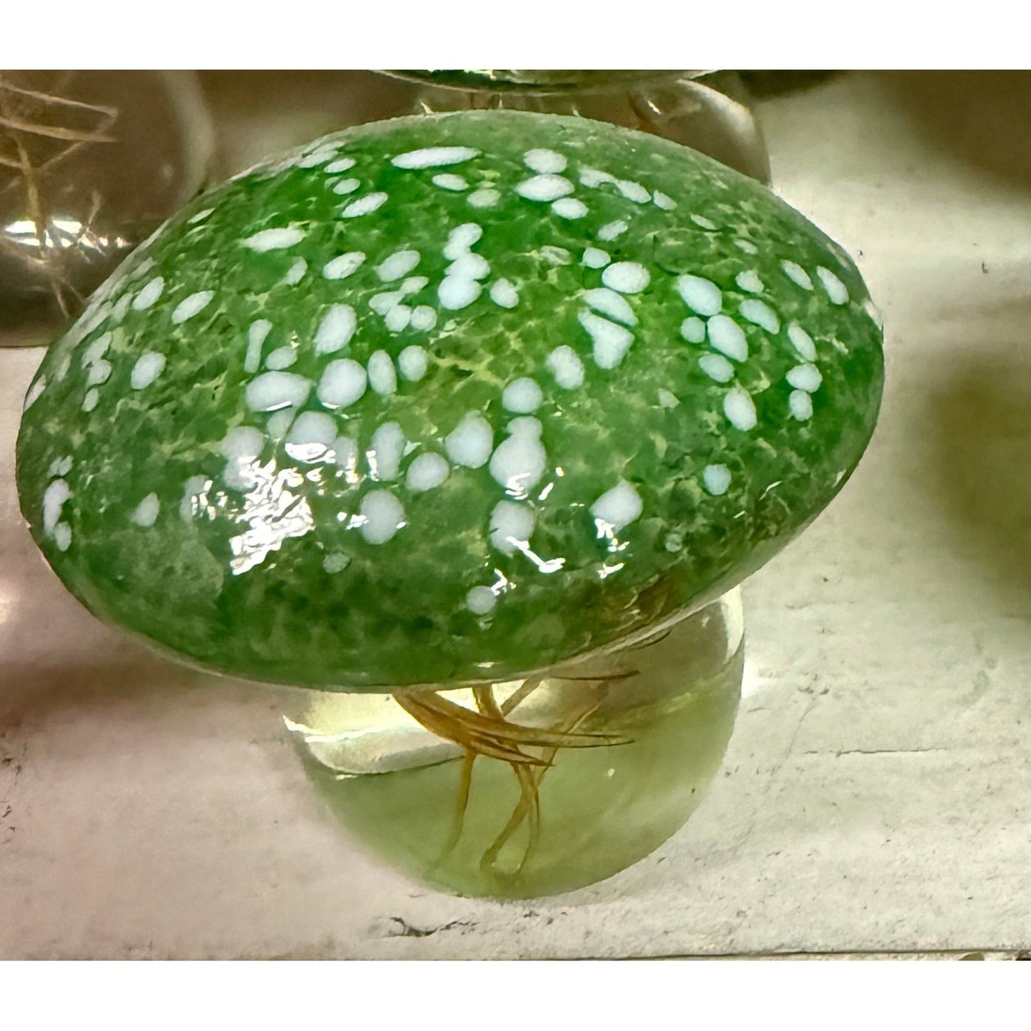 Mushroom Paperweight