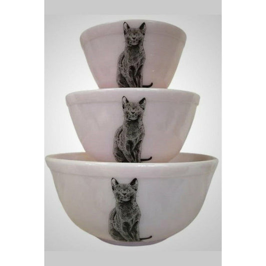Nesting Mixing Bowl Set Decorated